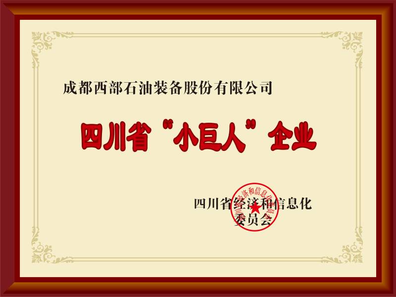 四川省小巨人企業